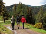 2013-05-newsletter-st-illgen-sonnschienalm-single-wandern-huette-urlaub-steiermark.jpg