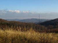 Singlewandern burgenland
